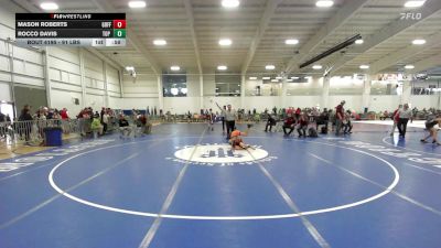 91 lbs Consi Of 16 #2 - Mason Roberts, Goffstown vs Rocco Davis, Top Flight Wrestling Academy