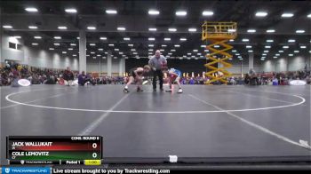 87 lbs Cons. Round 6 - Jack Wallukait, IA vs Cole Lemovitz, CT