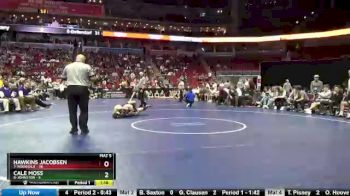 170 lbs 5th & 7th Place - Cale Moss, 8-Johnston vs Hawkins Jacobsen, 7-Indianola