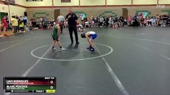 56-60 lbs Round 2 - Blake Peacock, UQA Wrestling Club vs Liam Rodriguez, Williamsburg Wrestling Club