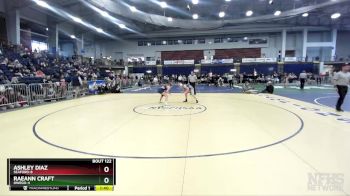 120 lbs Quarterfinal - RaeAnn Craft, Owego-4 vs Ashley Diaz, Seaford-8