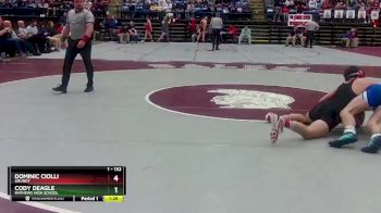 1 - 132 lbs Semifinal - Cody Deagle, Mathews High School vs Dominic Ciolli, Grundy