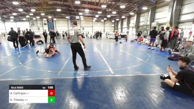 132 lbs Round Of 16 - Aaron Callirgos, AZ vs Sidney Tildsley, MA