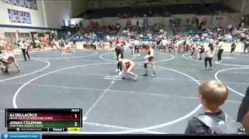 115 lbs Semifinal - Aj Dellacruz, Palmetto State Wrestling Acade vs Jonah Coleman, Stratford Knights Youth