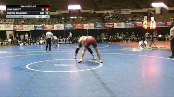 285 lbs Semis & Wb (16 Team) - Liam Babitt, MSU Moorhead vs Dustin Swanson, Kutztown