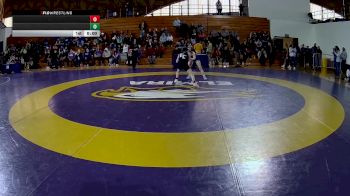 103 lbs Quarterfinal - Joycedeliz Rodriguez Santia, Elmira College vs Gianna Hernandez, Western New England