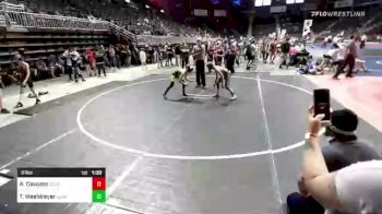 81 lbs Semifinal - Aj Cavazos, Colorado Natives vs Trey Weeldreyer, LSRV Mat Rats