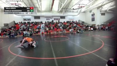 140 lbs Champ. Round 1 - Milla Bretz, Natrona County vs Kamille Wadsworth, Green River