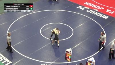 132 lbs Round Of 16 - Gavin Trometter, Southern Columbia vs Garret Lucera, Annville-Cleona