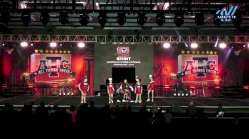 American Cheer Extreme - CA-EL78132 [2025 CheerABILITIES - Elite Day 1] 2025 ATC Grand Nationals
