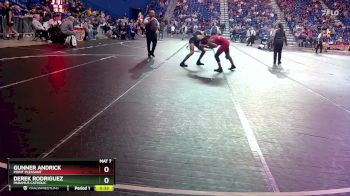 132 lbs Cons. Round 4 - Derek Rodriguez, Paramus Catholic vs Gunner Andrick, Point Pleasant