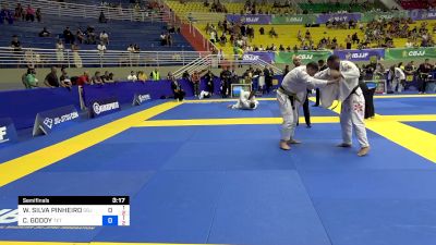 WELLINGTON SILVA PINHEIRO vs CLAUDIO GODOY 2024 Brasileiro Jiu-Jitsu IBJJF