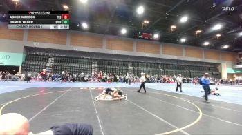 113 lbs Champ. Round 1 - Damon Tilger, Spring Creek vs Asher Wesson, Perry
