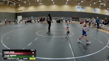 52 lbs Quarterfinal - Cuinn Reed, Capital City Wrestling Club vs Tyler Bibbins, New Kent