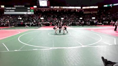 100 lbs Champ. Round 1 - Levi Hibbs, DONA vs Asher Hart, CWA1