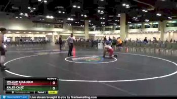 126 lbs Round 5 (10 Team) - William Kollosch, Iowa Gables vs Kaleb Caliz, Indiana Flash