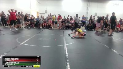 84 lbs Round 5 (6 Team) - Lorenzo Cillo, NY Hammers vs Aiden Alborn, Killa Bees