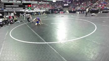 D2-106 lbs 3rd Place Match - Gregory Hellendrung, Chilton/Hilbert vs Austin Peterson, Ellsworth