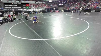 D2-106 lbs 3rd Place Match - Gregory Hellendrung, Chilton/Hilbert vs Austin Peterson, Ellsworth