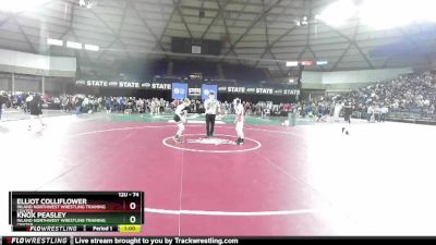 74 lbs Semifinal - Knox Peasley, Inland Northwest Wrestling Training Center vs Elliot Colliflower, Inland Northwest Wrestling Training Center