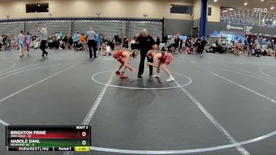 96 lbs Round 2 (4 Team) - Brighton Prine, Ohio Gold vs Harold Dahl, Richmond WC