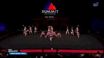 Fierce - Wild Cats [2025 L2 Senior - Small Finals] 2025 The Summit