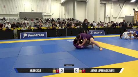 ARTHUR LOPES DA SILVA BYS vs MILOS CEKLIC 2025 World IBJJF Jiu-Jitsu No-Gi Championship