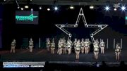 Platinum Athletics - Diamonds [2025 L2 Senior Day 1] 2025 Nation's Choice Grand Nationals