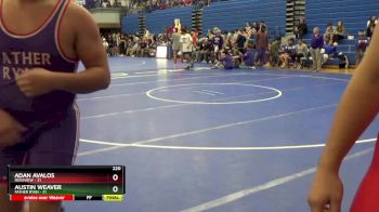 220 lbs Round 3 (4 Team) - William McGrady, Father Ryan vs Thomas Shipstead, Rossview