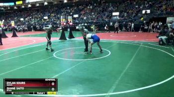 157 lbs Semifinal - Shane Saito, BTWA vs Dylan Sours, WHW2