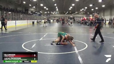 90 lbs Champ. Round 1 - Eli Cavazos, Forest Hills WC vs Lucas Prowoznik, Barry County Grapplers Association