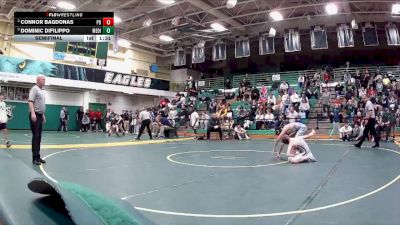 113 lbs Semifinal - Dominic DiFilippo, Medina vs Connor Bagdonas, Perrysburg