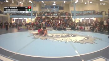 106 lbs 3rd Place Match - Mason Emerson, Meridian vs Emilio Peterson, Madison