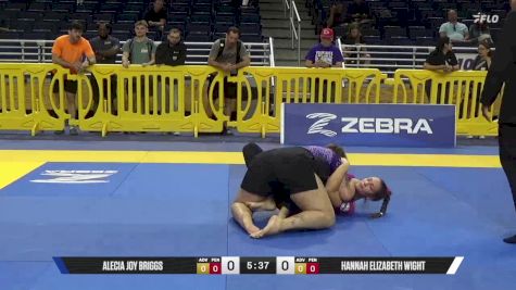 Hannah Elizabeth Wight vs Alecia Joy Briggs 2025 Pan IBJJF Jiu-Jitsu No-Gi Championship