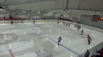 Replay: Home - 2024 CT Nor'Easter vs Boston Terriers | Nov 9 @ 12 PM