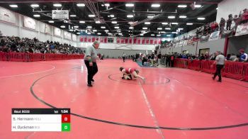 120 lbs Semifinal - Sadie Hermann, Holliston vs Hannah Dyckman, Bristol County/Dighton Rehoboth