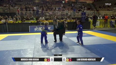 Liam Serrano-Montalvo vs Murdoch Boru Boggan 2025 Pan Kids Jiu-Jitsu IBJJF Championship