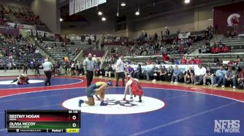 5A 135 lbs Quarterfinal - Destiny Hogan, Mena vs Olivia McCoy, Mountain Home