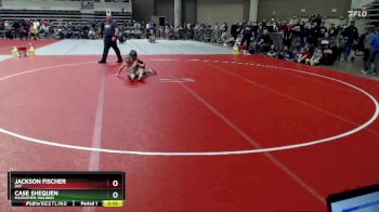 75 lbs Cons. Round 2 - Jackson Fischer, DGF vs Case Shequen, Mahnomen-Waubun