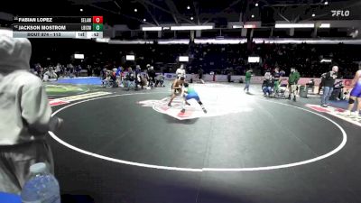 113 lbs Cons. Round 3 - Jackson Mostrom, Liberty (Issaquah) vs Fabian Lopez, Selah