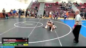 160 lbs Semifinal - Tiegen Thompson, Lingle-Ft. Laramie/Southeast vs Carson Eardley, Mountain View