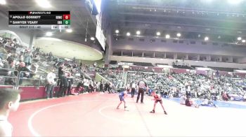 46 lbs Quarterfinal - Sawyer Yeary, Greenwood Wrestling Academy vs Apollo Gossett, Beebe Badgers Wrestling Club