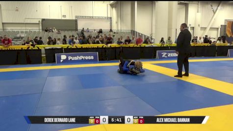 Alex Michael Bannan vs Derek Bernard Lane 2025 World IBJJF Jiu-Jitsu No-Gi Championship