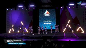 Florida Triple Threat Allstars - ICE Catz [2025 L1 Youth - D2 - Small - B Day 1] 2025 The Youth Summit