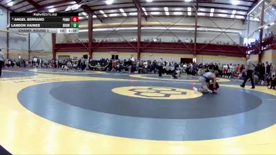 138 lbs Champ. Round 1 - Landon Haines, Brownsburg vs Angel Serrano, Pomona