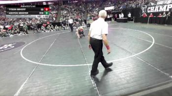 D3-157 lbs 1st Place Match - Tyson Imhoff, Iowa-Grant/Highland vs Ashton Meister, Poynette