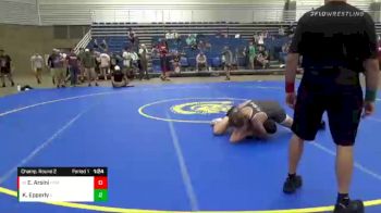 173 lbs Champ. Round 2 - Easton Arsini, Homestead vs Kane Epperly, Versailes HS