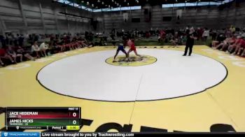 106 lbs Semis & 1st Wrestleback (8 Team) - Jace Hedeman, Iowa vs James Hicks, Tennessee