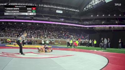 D2-138 lbs Champ. Round 1 - Cole Cichocki, Lowell vs Ahmari Demps, Melvindale