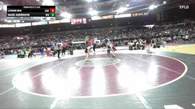 120 lbs Cons. Round 1 - Logan Bui, Centennial vs Gage Anderson, Wasatch Utah